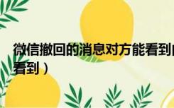 微信撤回的消息对方能看到内容吗（微信撤回的消息对方能看到）