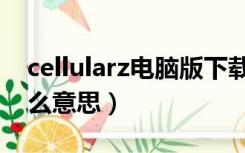 cellularz电脑版下载（ipad cellular版是什么意思）