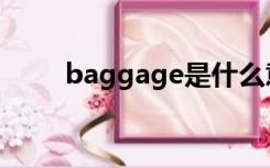 baggage是什么意思（baggage）