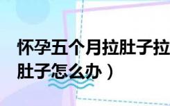 怀孕五个月拉肚子拉稀怎么办（怀孕5个月拉肚子怎么办）