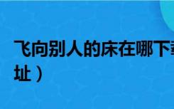 飞向别人的床在哪下载（飞向别人的床下载地址）