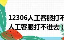 12306人工客服打不进去怎么回事（12306人工客服打不进去）