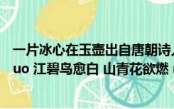 一片冰心在玉壶出自唐朝诗人王昌龄的（唐朝杜甫诗云  ldquo 江碧鸟愈白 山青花欲燃 rdquo  下列诗句与题诗所含）