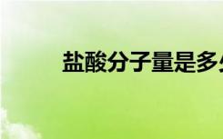 盐酸分子量是多少（盐酸分子量）