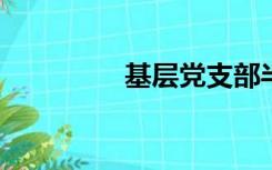 基层党支部半年工作总结