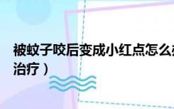 被蚊子咬后变成小红点怎么办（蚊子咬的红点一直不消怎么治疗）