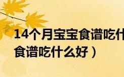 14个月宝宝食谱吃什么好一点（14个月宝宝食谱吃什么好）