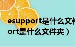 esupport是什么文件夹可以删除吗（esupport是什么文件夹）