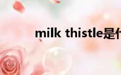 milk thistle是什么药（thistle）