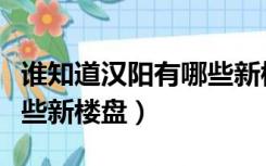 谁知道汉阳有哪些新楼盘呢（谁知道汉阳有哪些新楼盘）