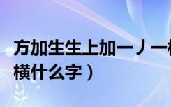 方加生生上加一丿一横是什么字（贝宝盖头一横什么字）