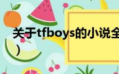 关于tfboys的小说全部（关于tfboys的小说）