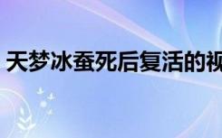 天梦冰蚕死后复活的视频（天梦冰蚕最后死）