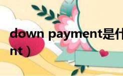 down payment是什么意思（down payment）