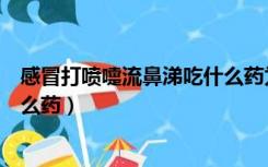 感冒打喷嚏流鼻涕吃什么药为好（感冒打喷嚏、流鼻涕吃什么药）