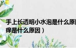 手上长透明小水泡是什么原因不痒不痛（手上长透明小水泡痒是什么原因）