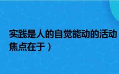 实践是人的自觉能动的活动（唯物辩证法与形而上学对立的焦点在于）