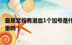 查尿常规有潜血1个加号是什么意思（尿常规潜血1个加号严重吗）