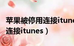 苹果被停用连接itunes怎么解决（苹果被停用连接itunes）