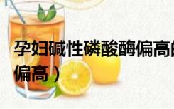 孕妇碱性磷酸酶偏高的原因（孕妇碱性磷酸酶偏高）