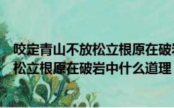 咬定青山不放松立根原在破岩中讲的是什么（咬定青山不放松立根原在破岩中什么道理）