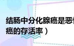 结肠中分化腺癌是恶性肿瘤吗（结肠中分化腺癌的存活率）