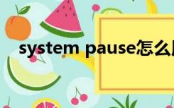 system pause怎么用（system pause）