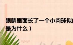 眼睛里面长了一个小肉球似的东西（腋窝里长了一个小肉球是为什么）