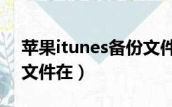 苹果itunes备份文件在哪（苹果itunes备份文件在）