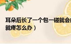 耳朵后长了一个包一碰就会痛（耳朵里面长了一个包且一碰就疼怎么办）