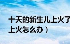 十天的新生儿上火了怎么降火（10天新生儿上火怎么办）