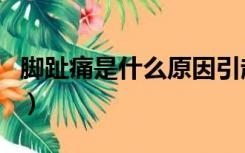 脚趾痛是什么原因引起的（脚趾痛是什么原因）