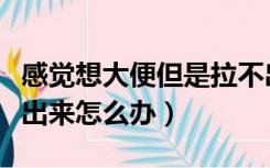 感觉想大便但是拉不出来（感觉想大便又拉不出来怎么办）