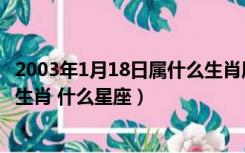 2003年1月18日属什么生肖属啥命（2003年1月18日是什么生肖 什么星座）