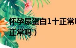 怀孕尿蛋白1十正常吗女性（怀孕尿蛋白1十正常吗）