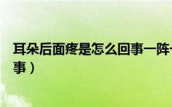 耳朵后面疼是怎么回事一阵一阵的疼（耳朵后面疼是怎么回事）