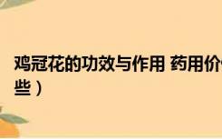 鸡冠花的功效与作用 药用价值（鸡冠花的功效与作用都有哪些）