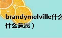 brandymelville什么牌子（brandymelville什么意思）