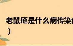 老鼠疮是什么病传染他人吗（老鼠疮是什么病）