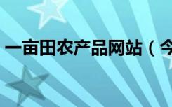 一亩田农产品网站（今日一亩田农产品价格）