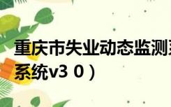 重庆市失业动态监测系统登录（失业动态监测系统v3 0）