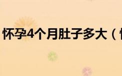 怀孕4个月肚子多大（怀孕4个月肚子有多大）