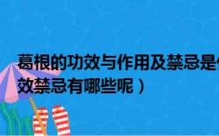 葛根的功效与作用及禁忌是什么用及禁忌（葛根的作用与功效禁忌有哪些呢）