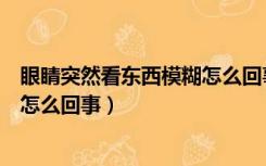 眼睛突然看东西模糊怎么回事还酸疼（眼睛突然看东西模糊怎么回事）