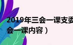 2019年三会一课支委会会议记录（2019年三会一课内容）