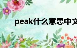 peak什么意思中文（peak什么意思）