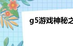 g5游戏神秘之城（g5游戏）