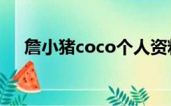 詹小猪coco个人资料（coco个人资料）