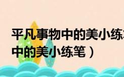 平凡事物中的美小练笔100字作文（平凡事物中的美小练笔）