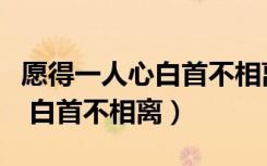 愿得一人心白首不相离什么意思（愿得一人心 白首不相离）